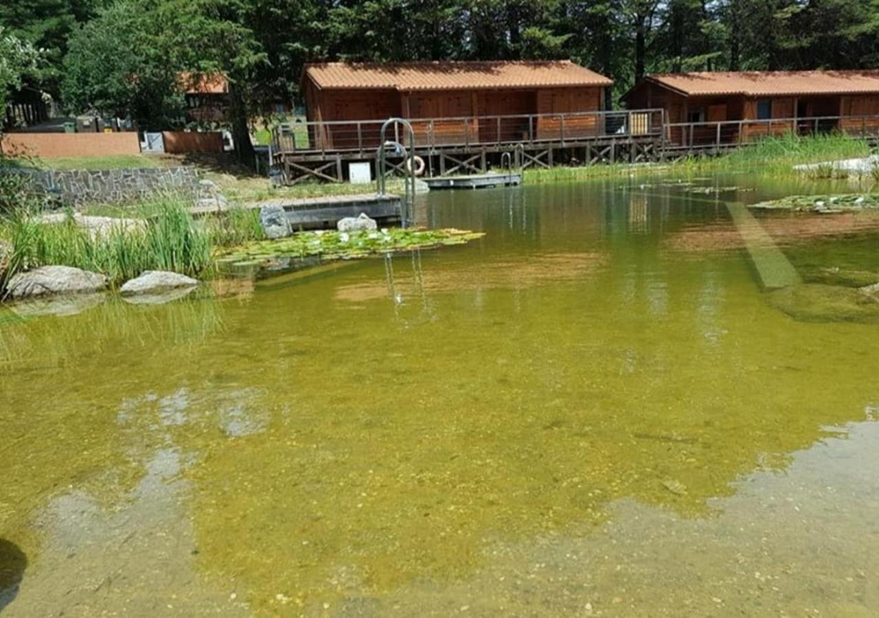 Parque Biologico De Виньяйш Экстерьер фото