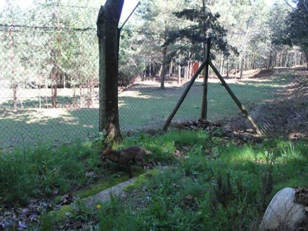 Parque Biologico De Виньяйш Экстерьер фото